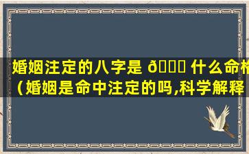 婚姻注定的八字是 🐛 什么命格（婚姻是命中注定的吗,科学解释一下）